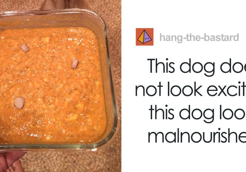 Vegan Posts Pics Of Her Lab ‘Excited’ To Eat Her Vegan Dinner, Gets Destroyed By Veterinarian