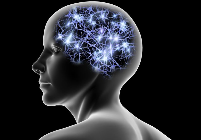 What Is an Artificial Neural Network?