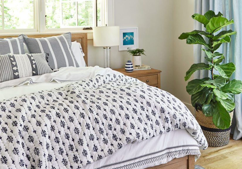 14 Easy-Care Indoor Plants for Bedrooms to Add Natural Greenery