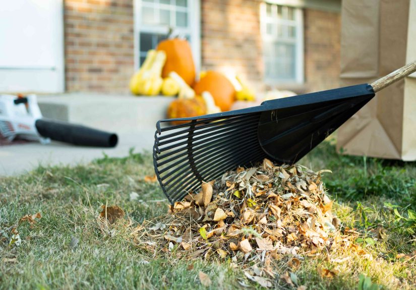 15 Tips for Cleaning Up Leaves in Your Yard Like a Pro This Fall