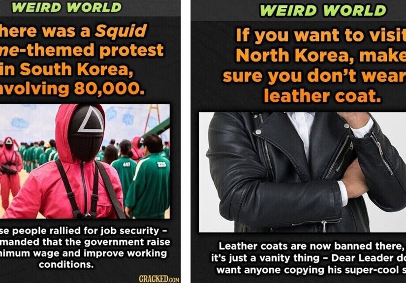29 Nigh Unbelievable News Stories That Happened Right Here on Earth