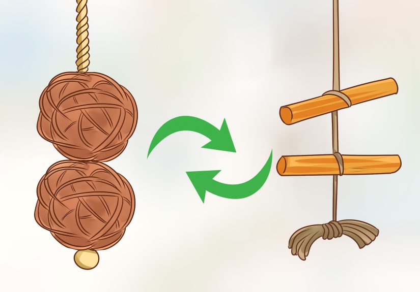 3 Ways to Entertain an African Grey Parrot