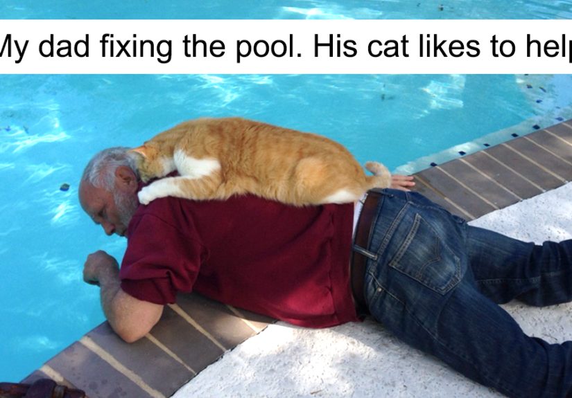 30 Of The Most Adorable Photos Of Cat Dads And Their Furry Friends