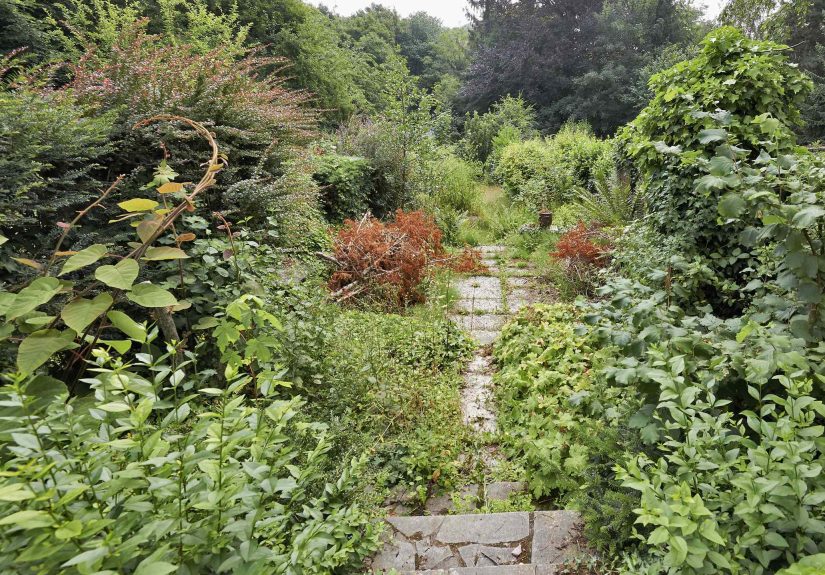 5 Things That Always Make Your Garden Look Unkempt, Gardeners Say
