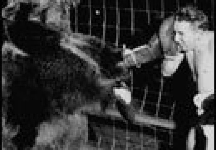 9 Old-Timey Animal Photos You Won't Believe Are Real