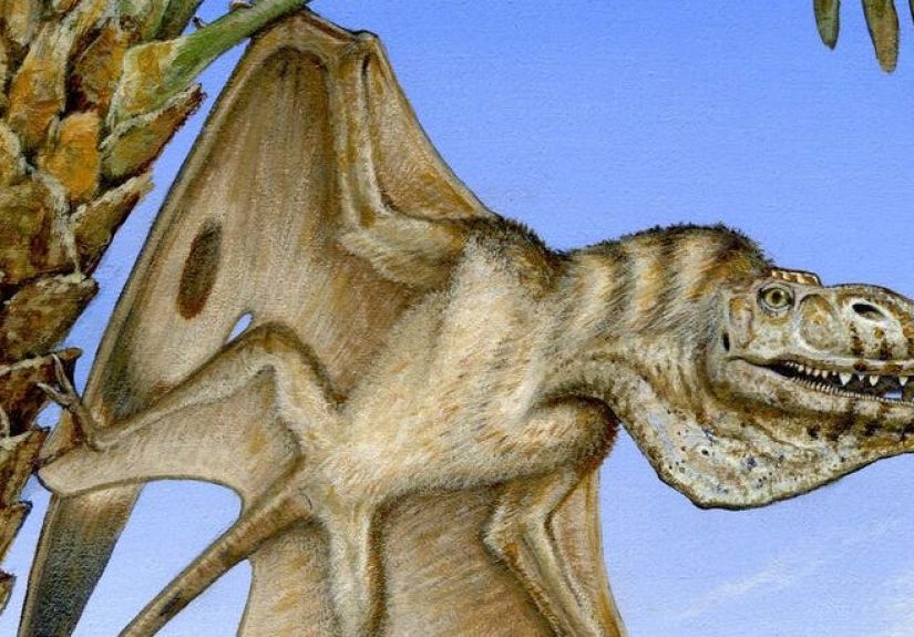 Ancient Flyer: New Extremely Old Pterosaur Found in Utah