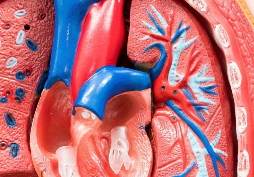 Aortic dissection: Symptoms, types, causes, and treatment