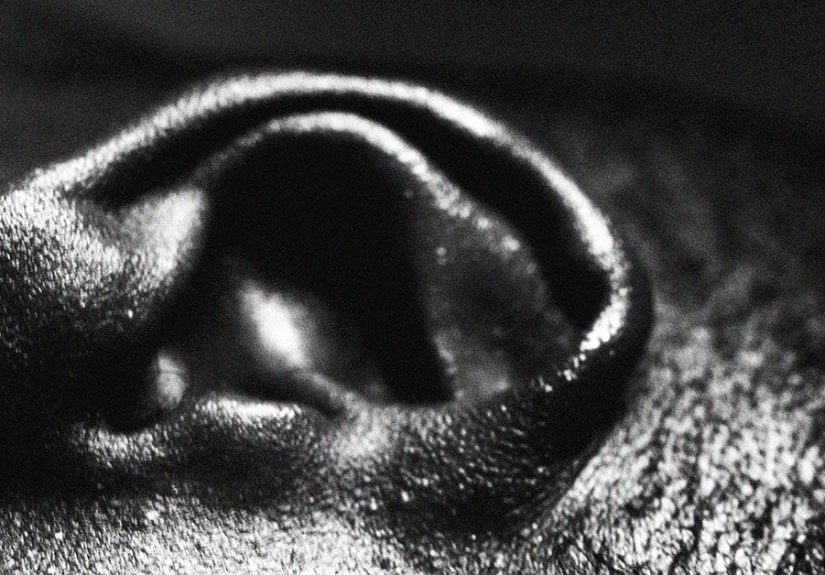 Clogged ears: Causes, home remedies, and safety
