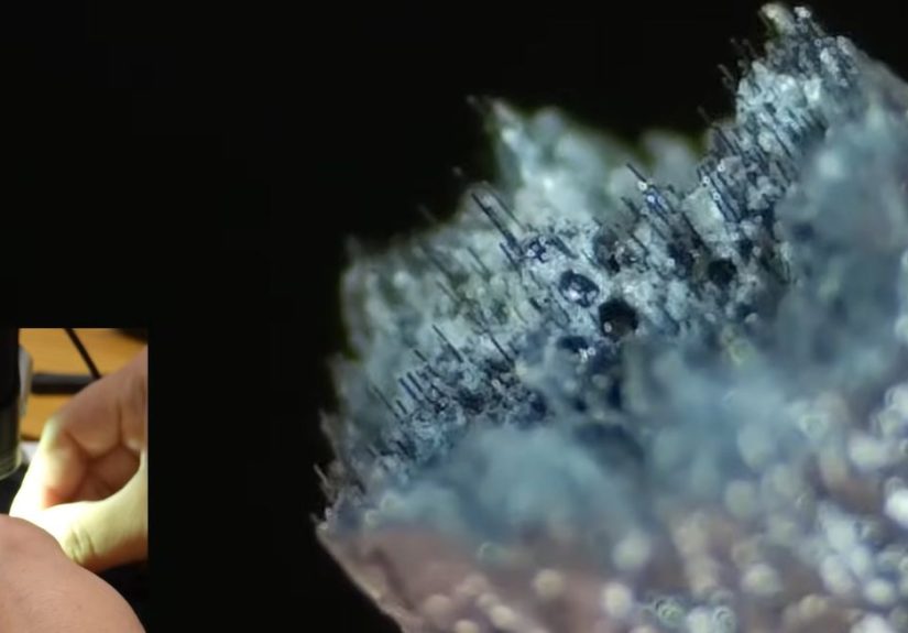 Could Carbon Fiber Be The New Asbestos?
