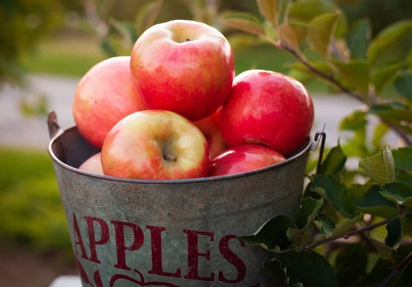 Health Benefits of Apples