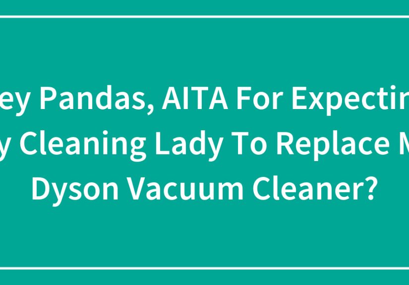 Hey Pandas, AITA For Expecting My Cleaning Lady To Replace My Dyson Vacuum Cleaner?