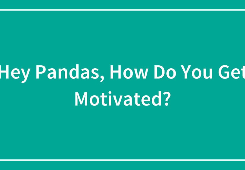Hey Pandas, How Do You Get Motivated?