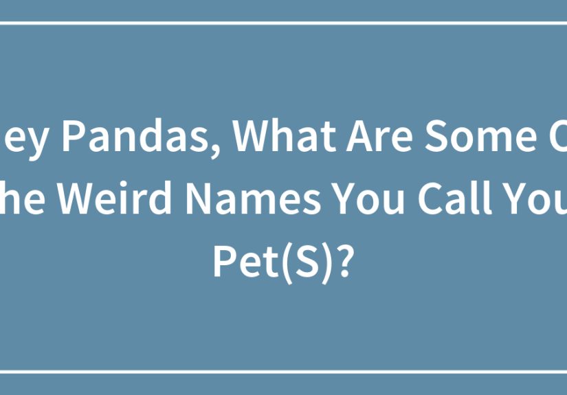 Hey Pandas, What Are Some Of The Weird Names You Call Your Pet(S)?