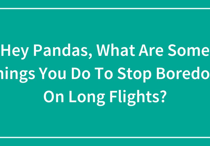 Hey Pandas, What Are Some Things You Do To Stop Boredom On Long Flights?