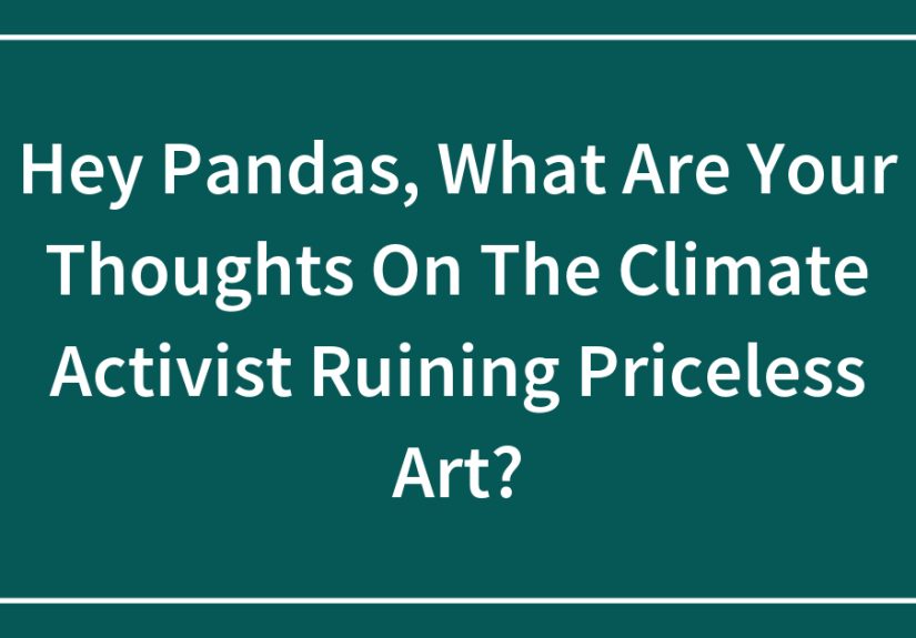 Hey Pandas, What Are Your Thoughts On The Climate Activist Ruining Priceless Art?