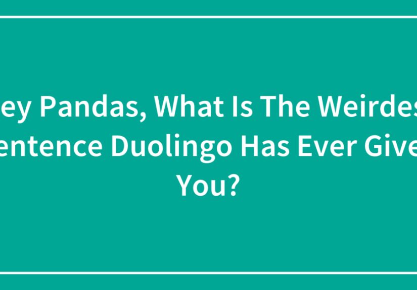 Hey Pandas, What Is The Weirdest Sentence Duolingo Has Ever Given You?