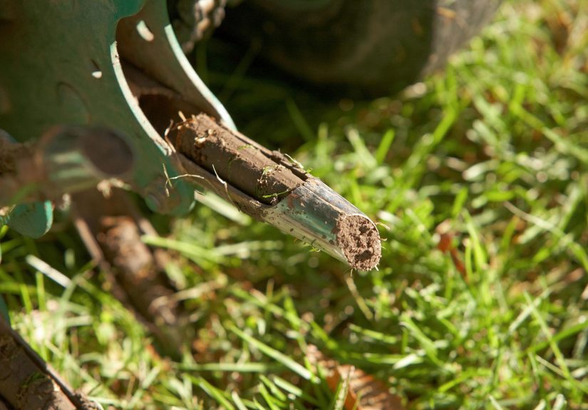 How to Aerate Your Lawn for Healthy, Green Grass