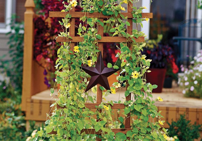 How to Build a Trellis