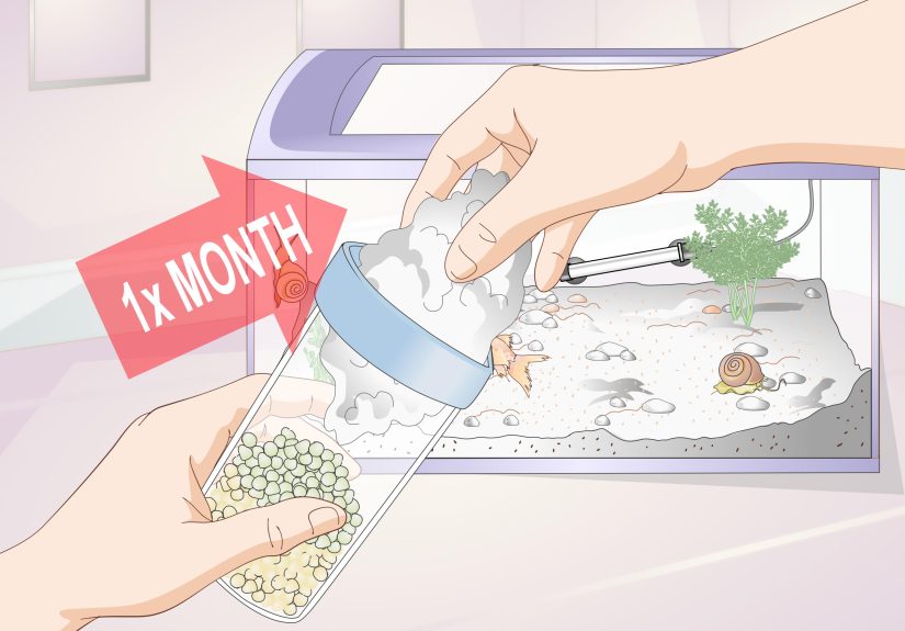 How to Control an Algae Bloom: 11 Steps