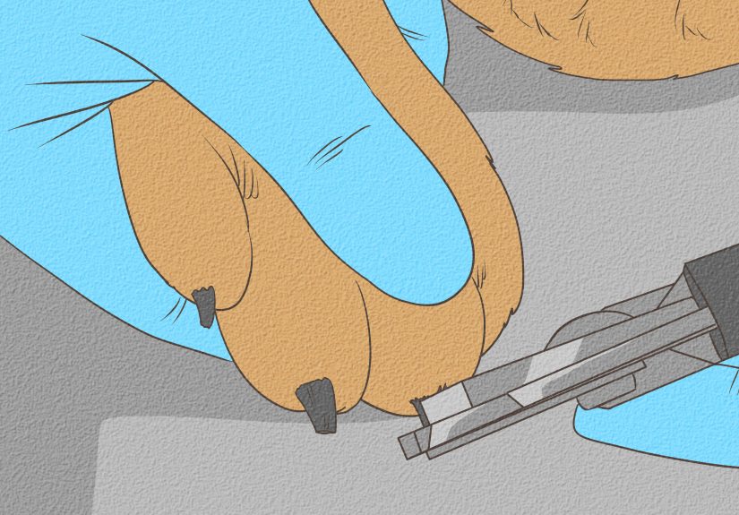 How to Stop a Quick from Bleeding
