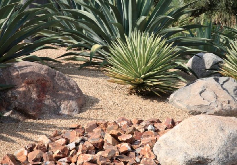 Keep Ticks at Bay with 9 Smart Landscaping Tips - Bob Vila