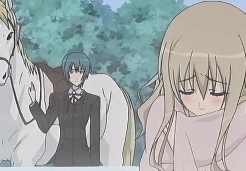 The 20 Best Anime Similar To Strawberry Panic, Ranked By Fans