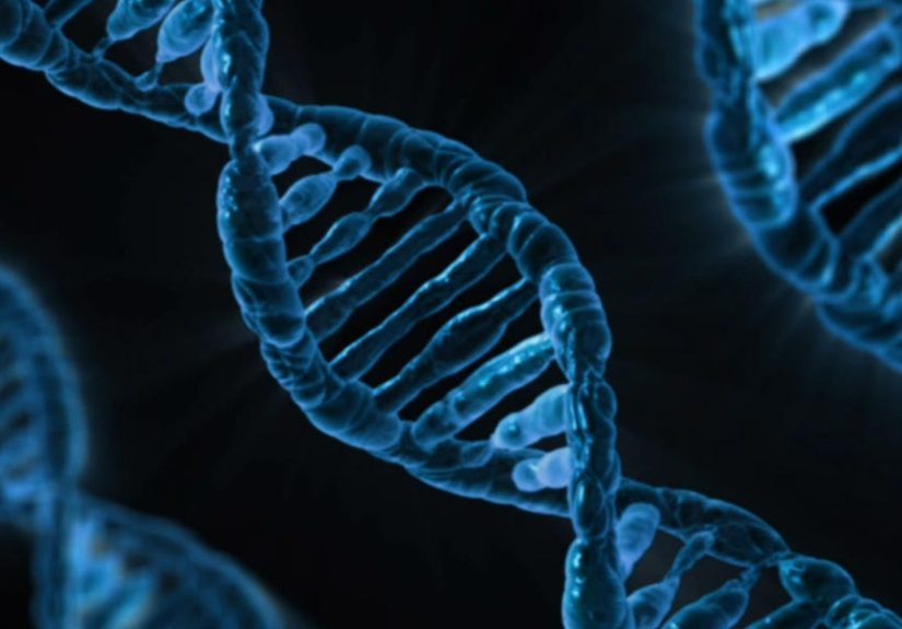 The FDA Just Greenlit a Gene Therapy That Cures Blindness