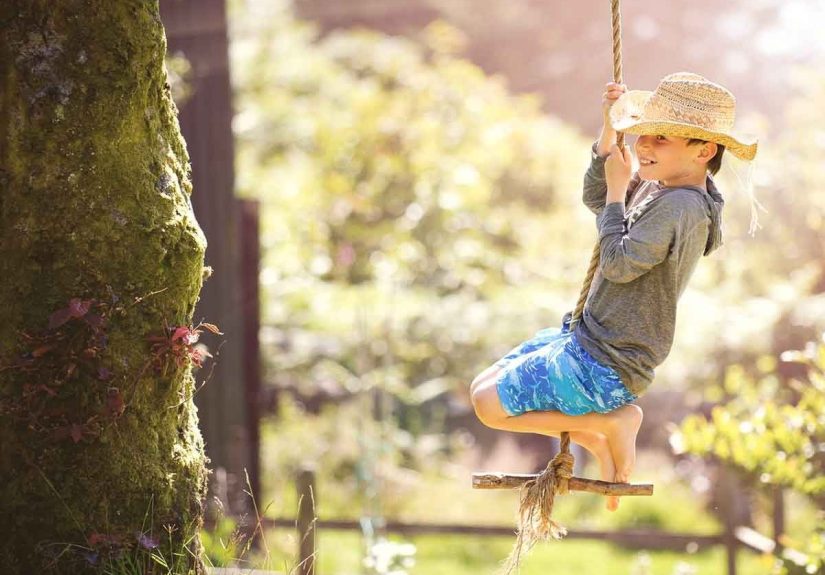 What to Know About Tree Swings
