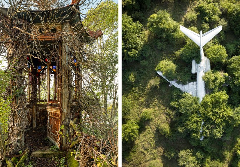 “When Nature Reclaims Its Rights”: My Exploration Through 19 Pics