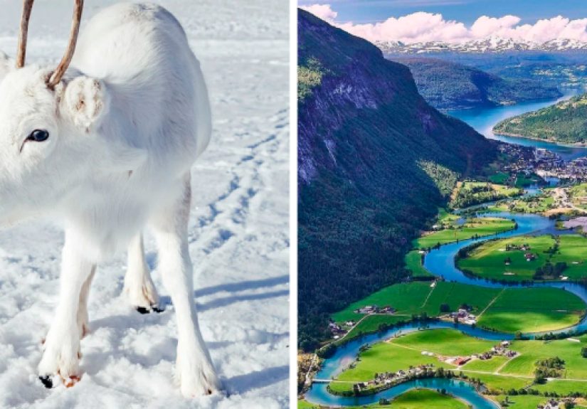 30 Captivating Photos Of Norway That Perfectly Illustrate Why This Country Is So Unique