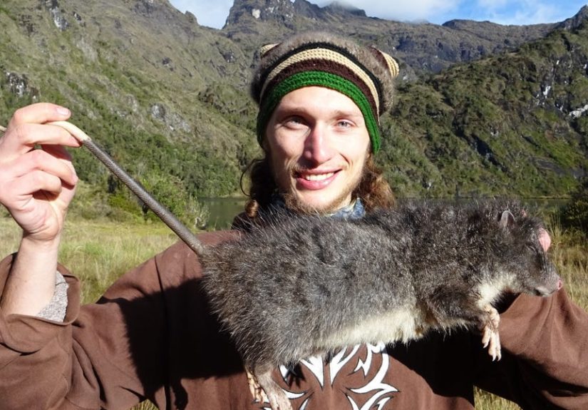 Elusive Rat Finally Shows Its Face to Science for the First Time