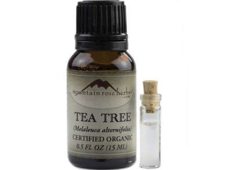 Essential Oil - Tea Tree