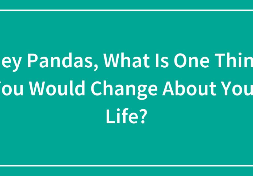 Hey Pandas, What Is One Thing You Would Change About Your Life?
