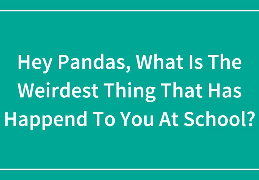 Hey Pandas, What Is The Weirdest Thing That Has Happend To You At School?