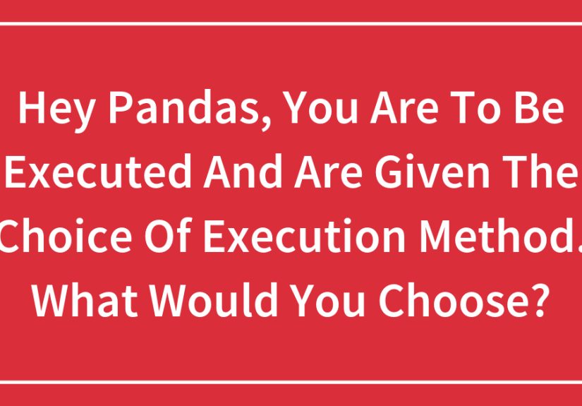 Hey Pandas, You Are To Be Executed And Are Given The Choice Of Execution Method. What Would You Choose?