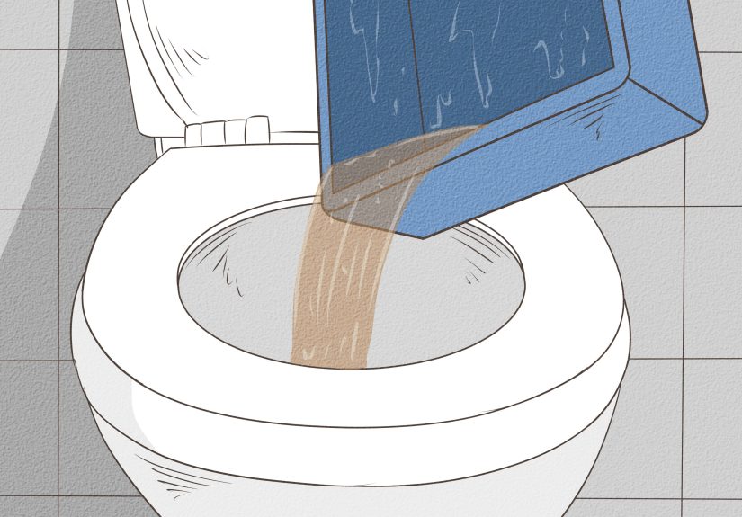 How to Bathe a Turtle