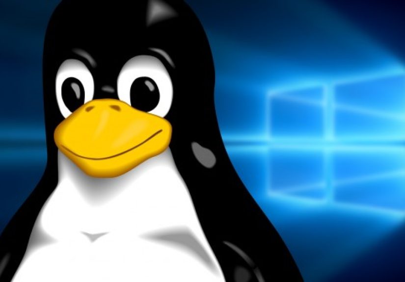 How To Dual Boot Linux And Windows 10