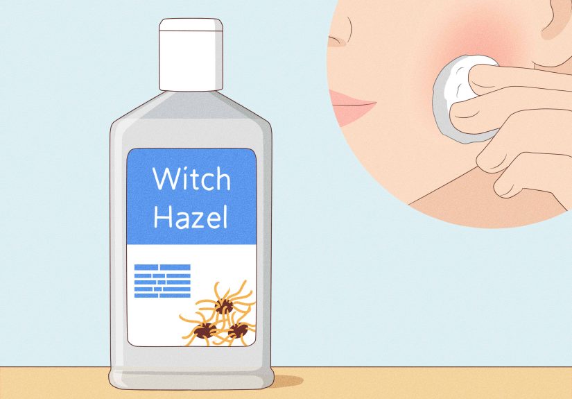 How to Shave Your Face (For Women): 10 Tips for Smooth Skin