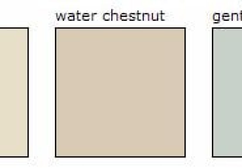 Our New Whole House Color Scheme