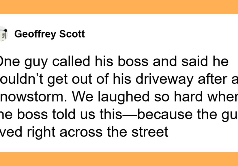 People Shared 36 Unusual Reasons They’ve Heard For Missing Work, And They’re Hilarious