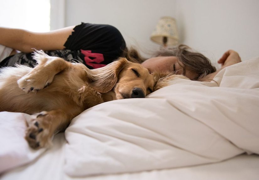 Sharing a Bed With Your Pet: Is It a Good Idea?