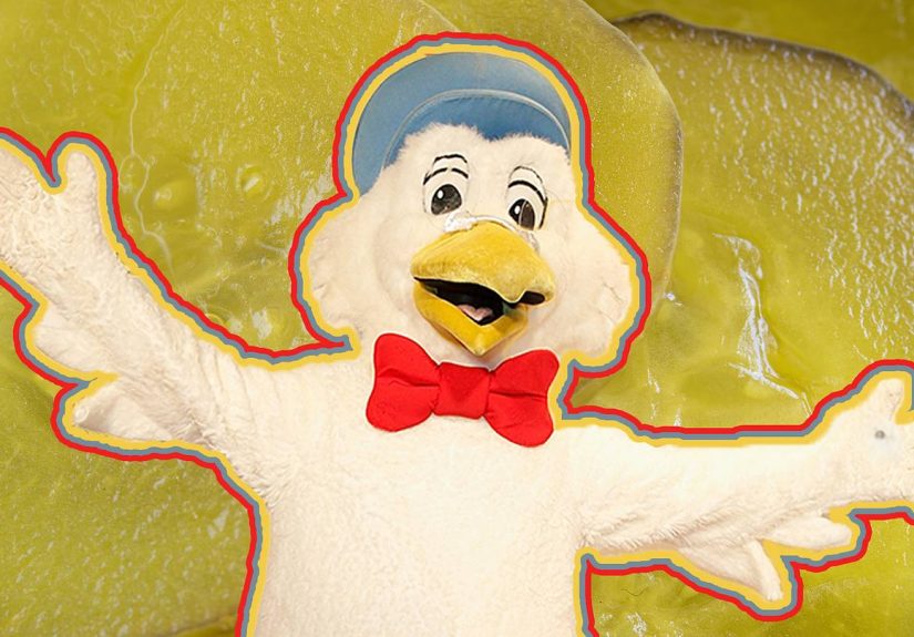 Why Is the Vlasic Pickles Mascot a Stork?